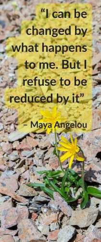 HueLife Absence of Resistence Maya Angelou